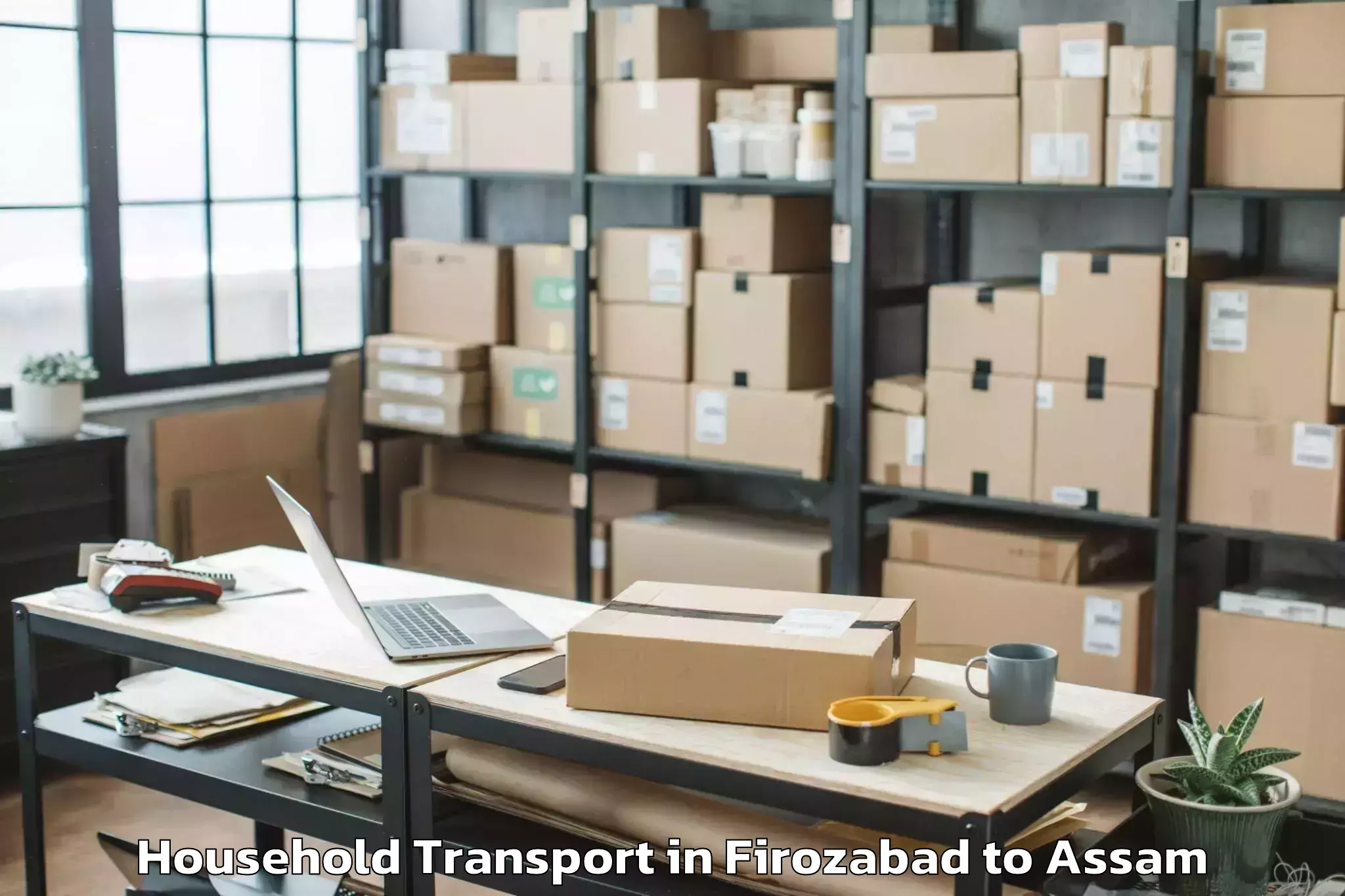 Trusted Firozabad to Pathorighat Pt Household Transport